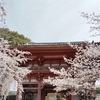 京都旅行(3)