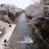ゆく河の流れは絶えずして