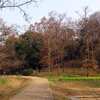 談山神社（2014.03.17）×旅Run