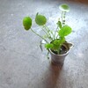 夏季休業のお知らせ