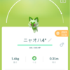 【ポケモンGO】コミュニティデイ結果報告【2025年1月ニャオハ】