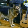 ロレンツォ＆レックス～ローマ警察シェパード犬刑事〜Il commissario Rex☆S1-6-2013年版-