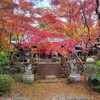 【京都】大原野、『勝持寺』に行ってきました。紅葉 京都旅