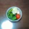 今週のミニタッパー弁当と、昨日も今日も早退。