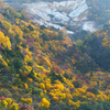 黄金色の蔵王山｜蔵王エコーライン（宮城県、山形県）