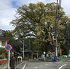 伊勢神明社（小鹿）