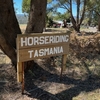 Horse riding in Tasmania