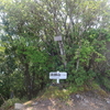 法師山　関西百名山（和歌山県）（6/17）