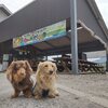 かっぱCLUB ラフティング
