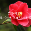 2024年2月｜高配当株ポートフォリオと投資状況