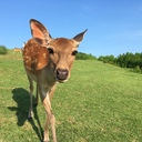 わたしの週末、ここ台湾