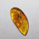 CosmoAmberの雑多記事