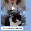 19歳チカラ子のEU国短期留学はじめの１か月を家族ラインでつづる