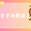 【今週のまとめ】真冬過ぎた2026年1月4週目のささざめ的まとめ