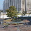 豊田合成 稲沢駅Ｂ街区でアリーナ着工 工事用フェンス囲われる