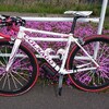 自転車に久々に乗ったら、痛みしか無かった！