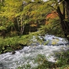 北海道阿寒湖の紅葉