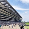 東京競馬場の耕一路でモカソフトを食べるついでに馬券を買う
