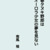 夏コミ(C96)頒布の小説の訂正ページについて