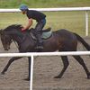 ２６日に栗東・池添学厩舎へ帰厩しています。☆コンジャンクション