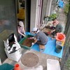 ブルーベリーの土作り、午後からは自治会活動、ブルーベリーの紅葉