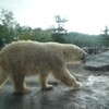 夏の終わりに北海道を駆け抜ける（その２）