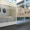 NHK朝ドラ｢らんまん｣モデルの企画展 相模原市立博物館で開催中（2023/4/21）