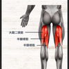 もも裏の硬さと腰痛について。