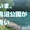 青い池が青くなくなり、鳥沼公園が青くなってる