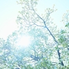 ただそこに「居る」って当たり前のことではないんです！