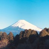 今朝の景色