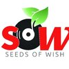 【謹賀新年_2025】Seeds Of Wish 復活、先発ローテ入りへ！