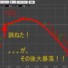 【まじで】過去最高益とロスカット寸前の悲劇が同時発生！-トライオートETF【ヤバい】