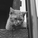 統失ナウ