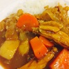 手羽中のカレー
