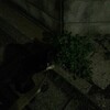まろにー292日目