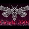 Cicada3301 謎の暗号 世界中のハッカーやプログラマーでも解読不可能