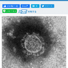 日々報道されるコロナウイルス新規感染者数について