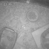 みるくあん513日目