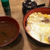 から揚げ丼がたべたかったけど親子丼！小田急町田駅近くのはねあげ！！！