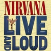 「LIVE AND LOUD」Nirvana