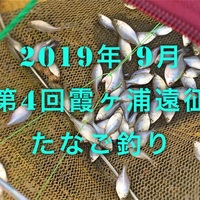 19 年 霞ヶ浦 タナゴ釣りまとめ カネヒラ バラ情報も たなごgo 19 年 霞ヶ浦 タナゴ釣りまとめ カネヒラ バラ情報も たなごgo