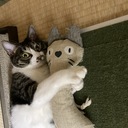 polpoltan’s blog