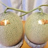  我が家で全国美味いもの市開催中～北海道から届いた夏の美味いもの2～