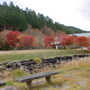 山は紅葉してました