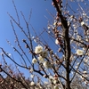 春近し、分かれの季節。