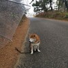 雨男はどっちだ、、、。