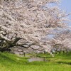 むかちん 花より団子🍡