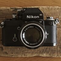 NIKON FとNIKKOR-S Auto 50mm f1.4で川村美術館庭園を撮ってきた