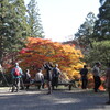 紅葉と山歩き